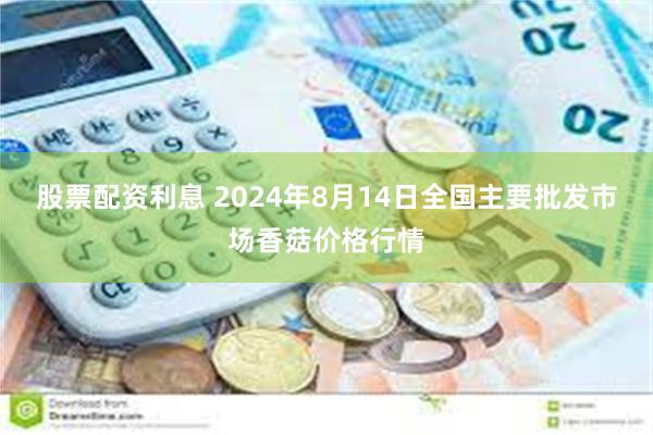 股票配资利息 2024年8月14日全国主要批发市场香菇价格行情