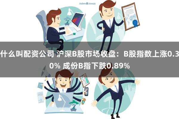 什么叫配资公司 沪深B股市场收盘：B股指数上涨0.30% 成份B指下跌0.89%