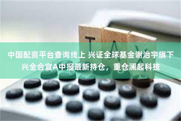 中国配资平台查询线上 兴证全球基金谢治宇旗下兴全合宜A中报最新持仓，重仓澜起科技