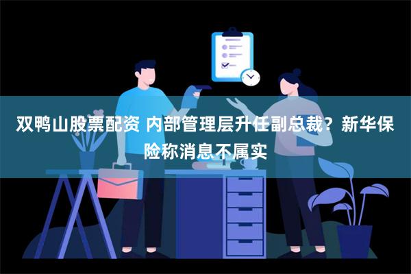 双鸭山股票配资 内部管理层升任副总裁？新华保险称消息不属实