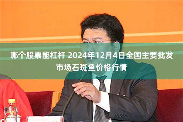 哪个股票能杠杆 2024年12月4日全国主要批发市场石斑鱼价格行情