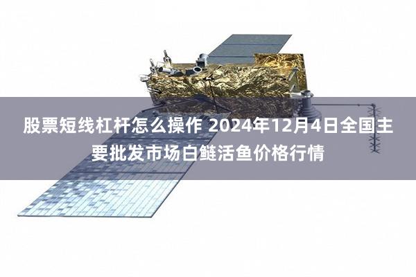 股票短线杠杆怎么操作 2024年12月4日全国主要批发市场白鲢活鱼价格行情