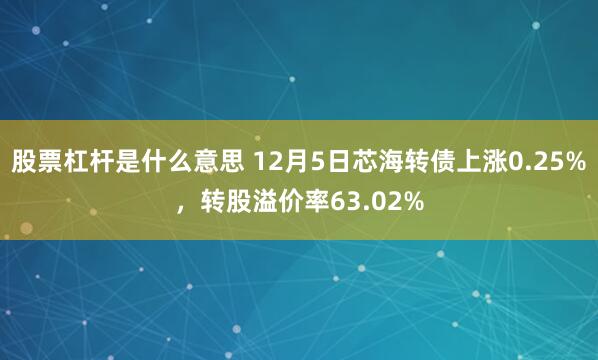 股票杠杆是什么意思 12月5日芯海转债上涨0.25%，转股溢价率63.02%