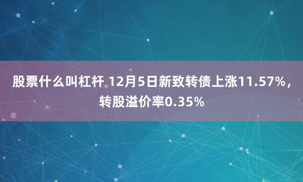 股票什么叫杠杆 12月5日新致转债上涨11.57%，转股溢价率0.35%