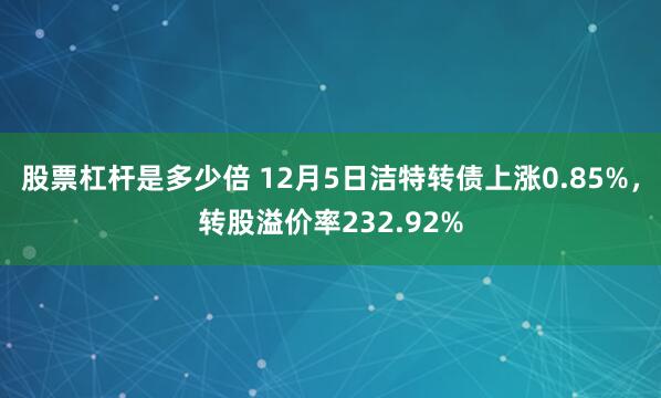 股票杠杆是多少倍 12月5日洁特转债上涨0.85%，转股溢价率232.92%