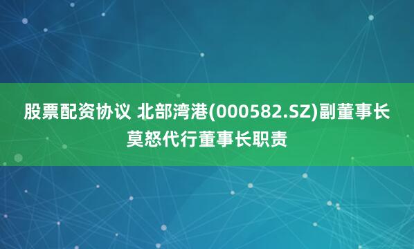 股票配资协议 北部湾港(000582.SZ)副董事长莫怒代行董事长职责