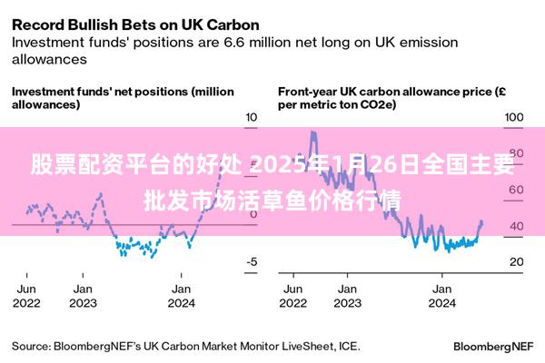 股票配资平台的好处 2025年1月26日全国主要批发市场活草鱼价格行情
