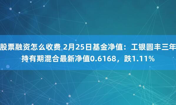 股票融资怎么收费 2月25日基金净值：工银圆丰三年持有期混合最新净值0.6168，跌1.11%