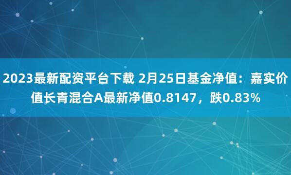 2023最新配资平台下载 2月25日基金净值：嘉实价值长青混合A最新净值0.8147，跌0.83%